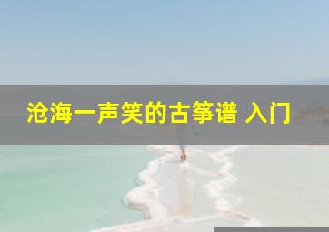 沧海一声笑的古筝谱 入门